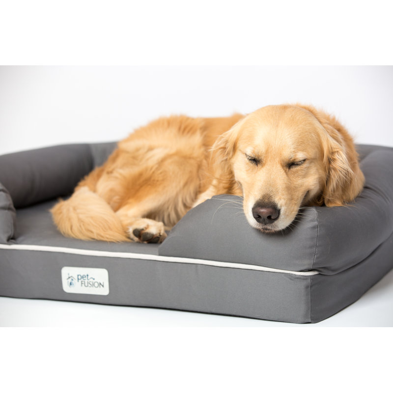 PetFusion Ultimate Dog Bed Replacement Cover & Reviews Wayfair